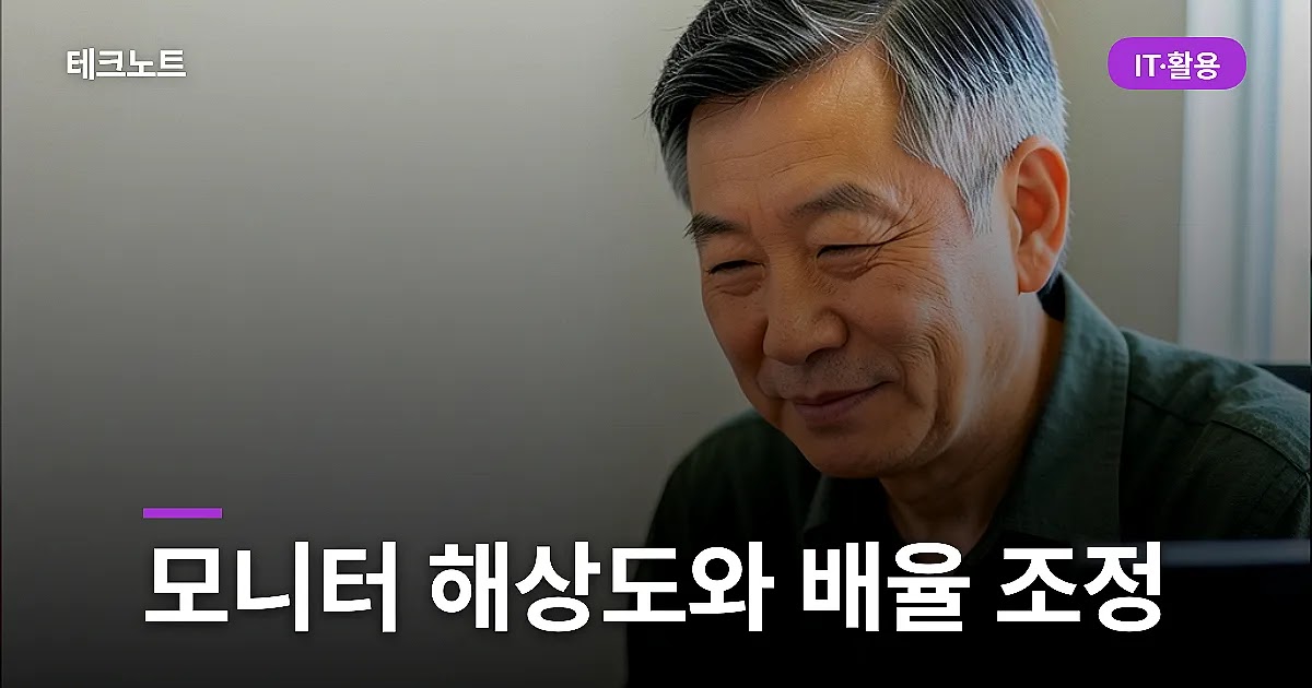 모니터 해상도와 배율 조정