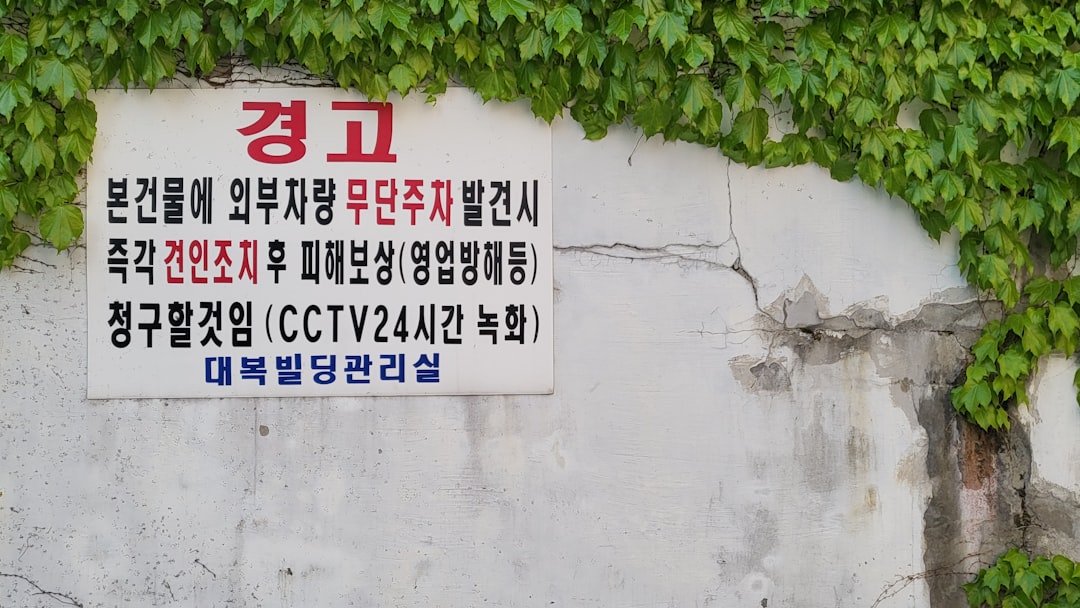 삭제된 파일 복구 방법