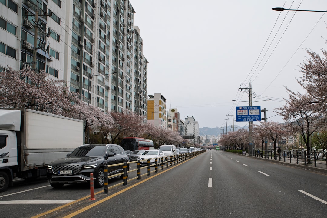 카카오맵 네이버지도 길찾기 대중교통 활용법
